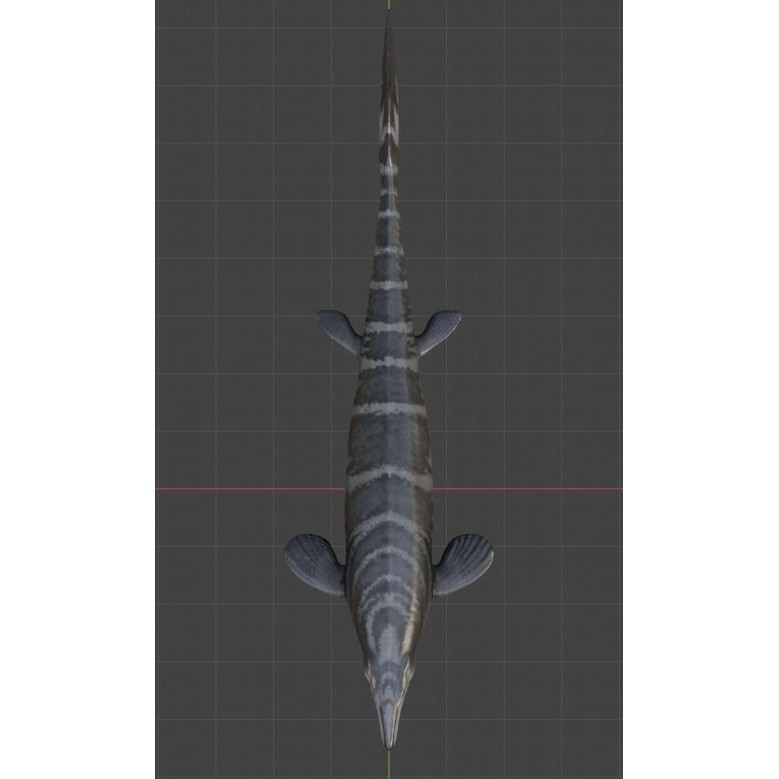 Mosasaurus 3D Model – Low Poly Animated Creature, FBX - View 14