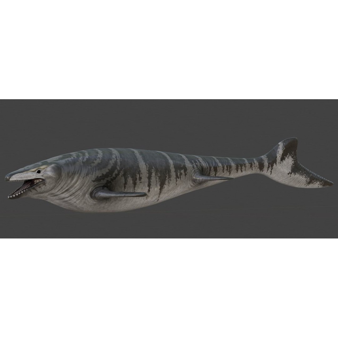 Mosasaurus 3D Model – Low Poly Animated Creature, FBX - View 15