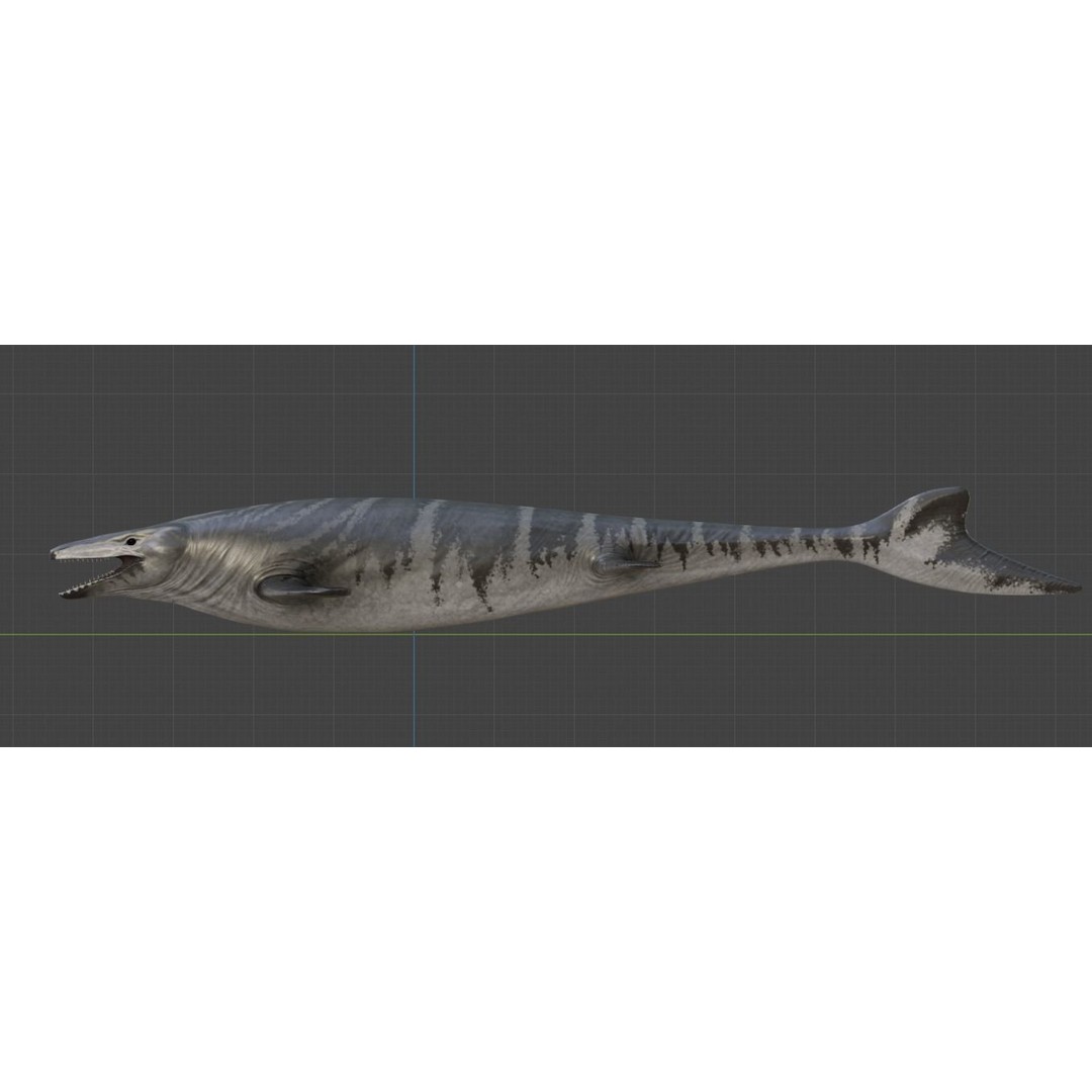 Mosasaurus 3D Model – Low Poly Animated Creature, FBX - View 16