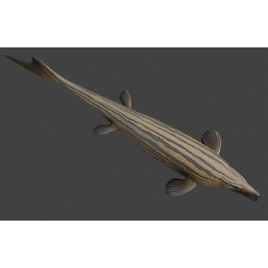 Mosasaurus 3D Model – Low Poly Animated Creature, FBX - View 18