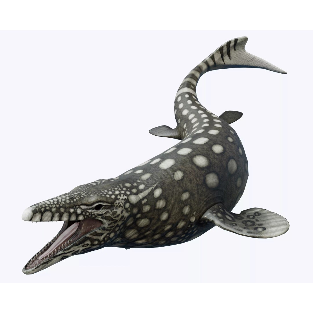 Mosasaurus 3D Model – Low Poly Animated Creature, FBX - View 2