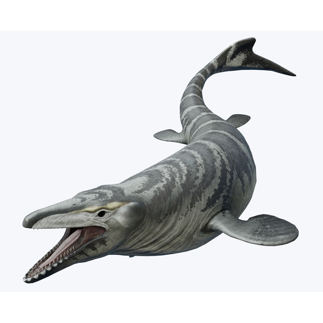 Mosasaurus 3D Model – Low Poly Animated Creature, FBX - View 3