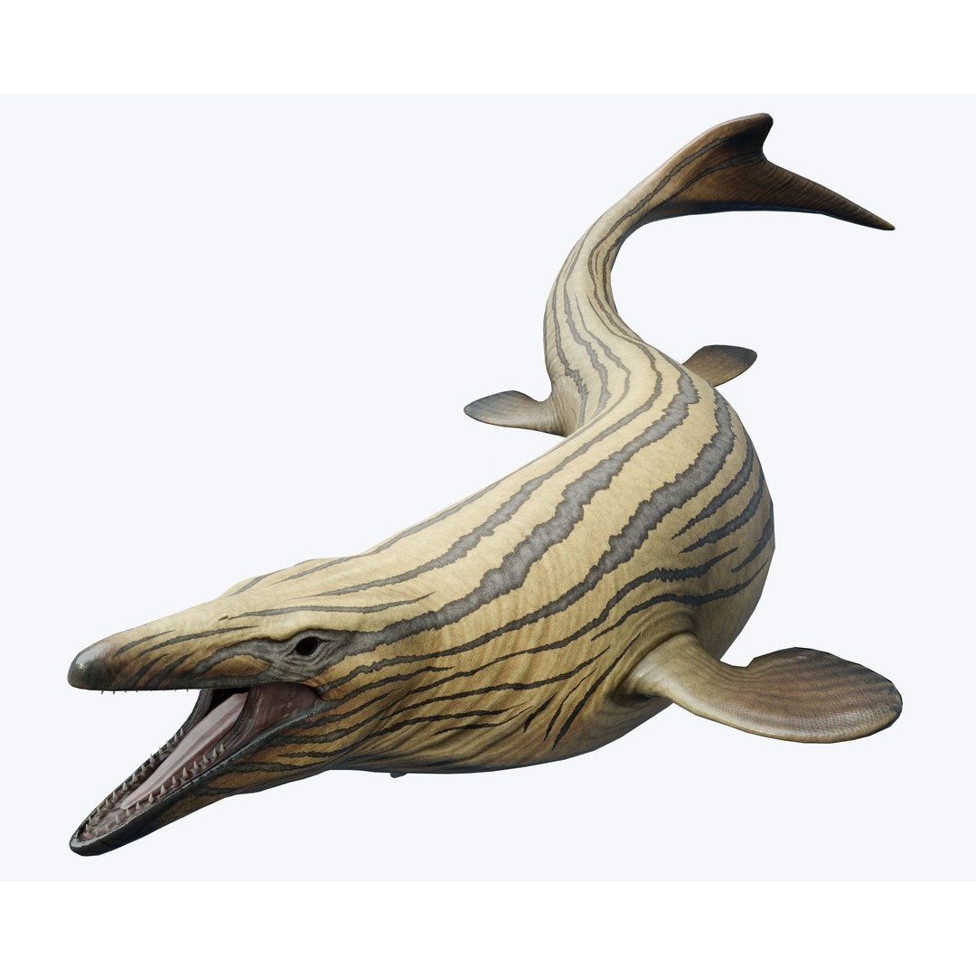 Mosasaurus 3D Model – Low Poly Animated Creature, FBX - View 4