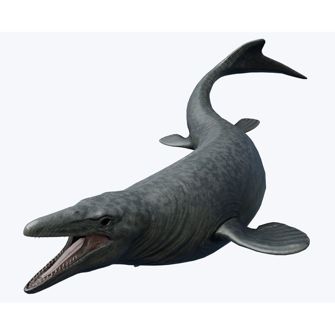 Mosasaurus 3D Model – Low Poly Animated Creature, FBX - View 5