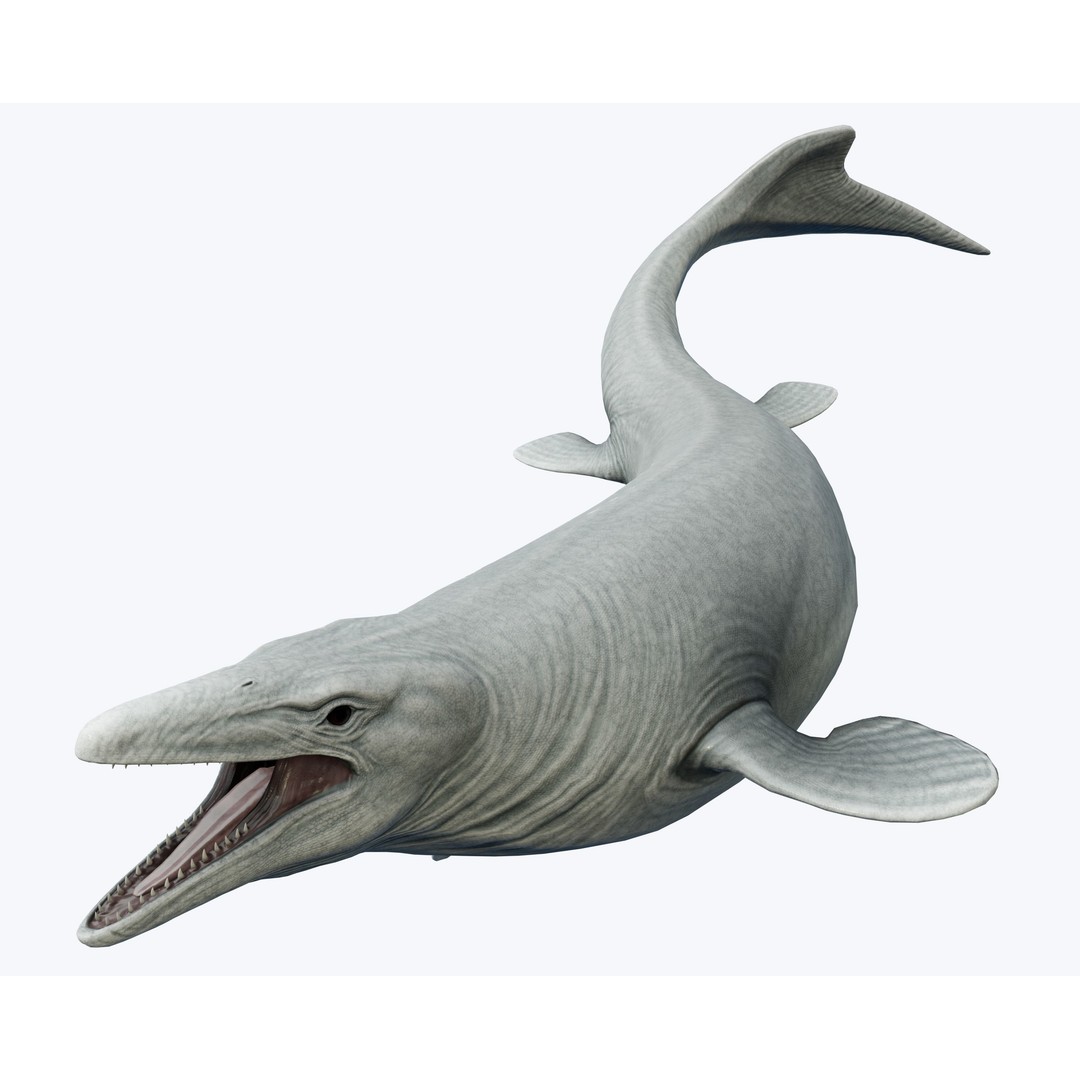 Mosasaurus 3D Model – Low Poly Animated Creature, FBX - View 6