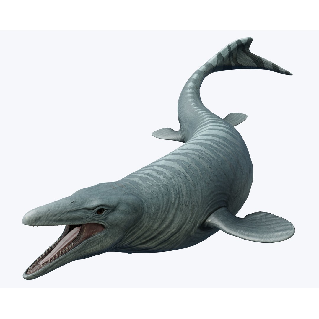 Mosasaurus 3D Model – Low Poly Animated Creature, FBX - View 7