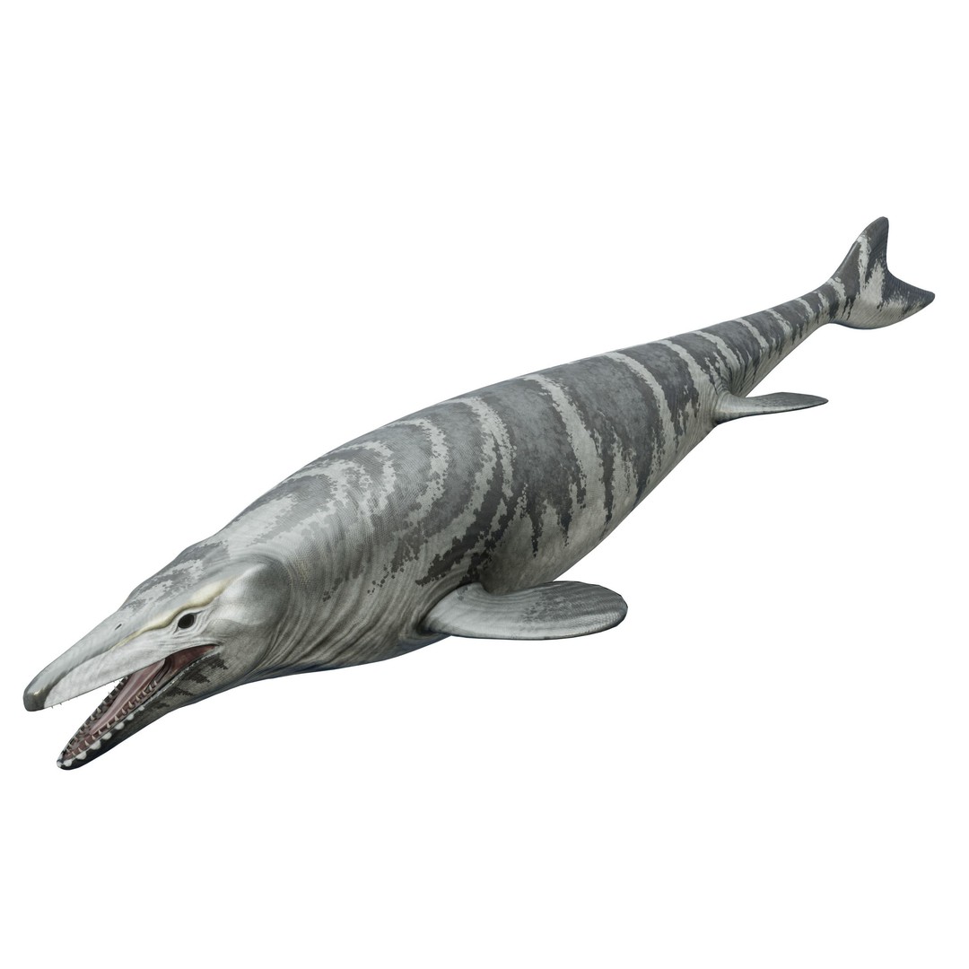 Mosasaurus 3D Model – Low Poly Animated Creature, FBX - View 8