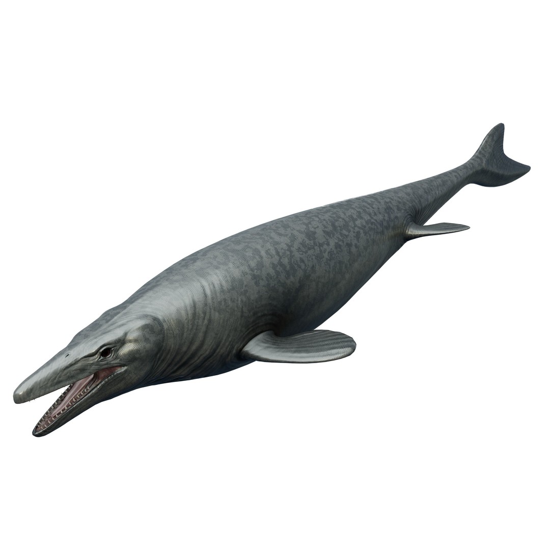 Mosasaurus 3D Model – Low Poly Animated Creature, FBX - View 9