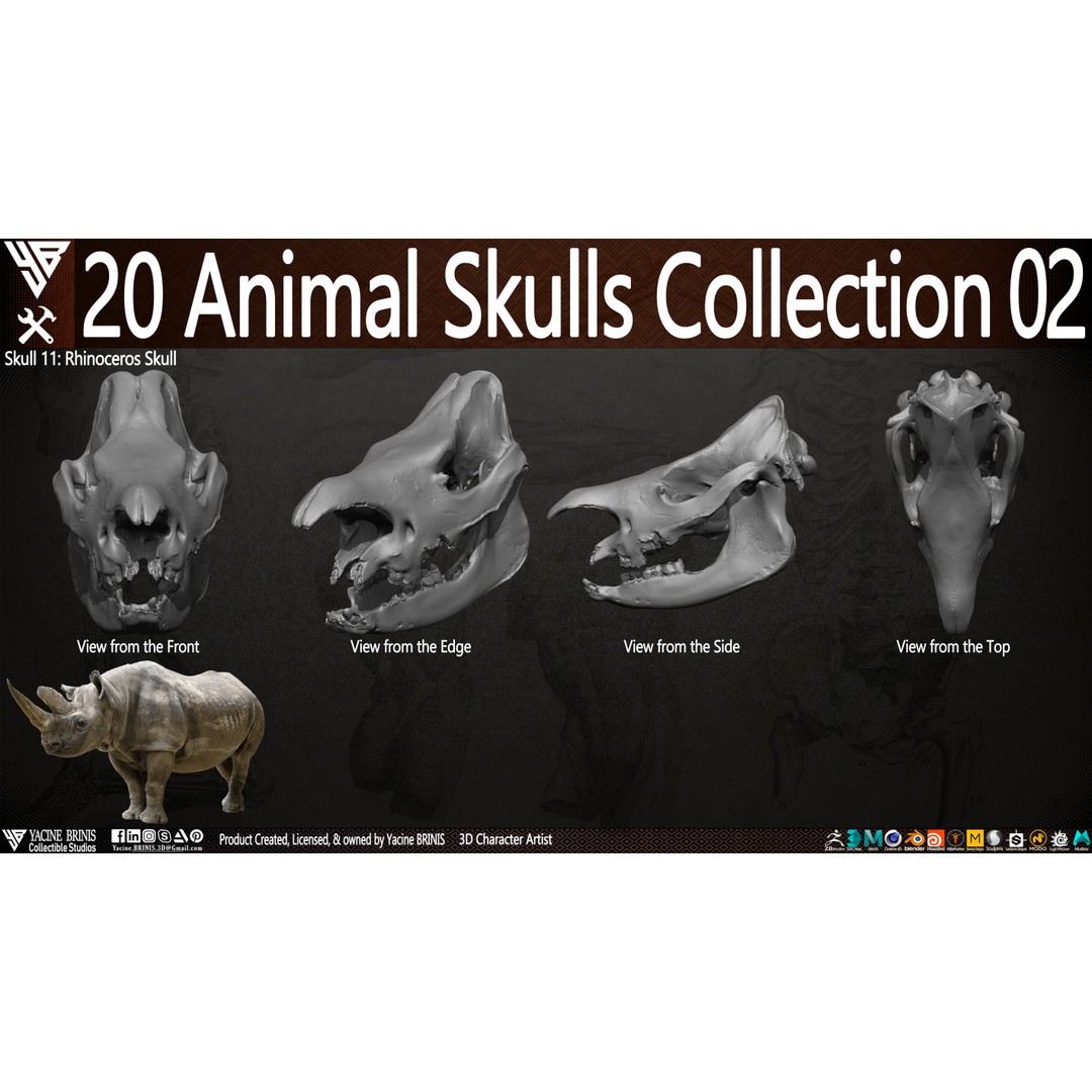 Animal Skulls 3D Model – Low-Poly Collection, FBX, OBJ, STL - View 21