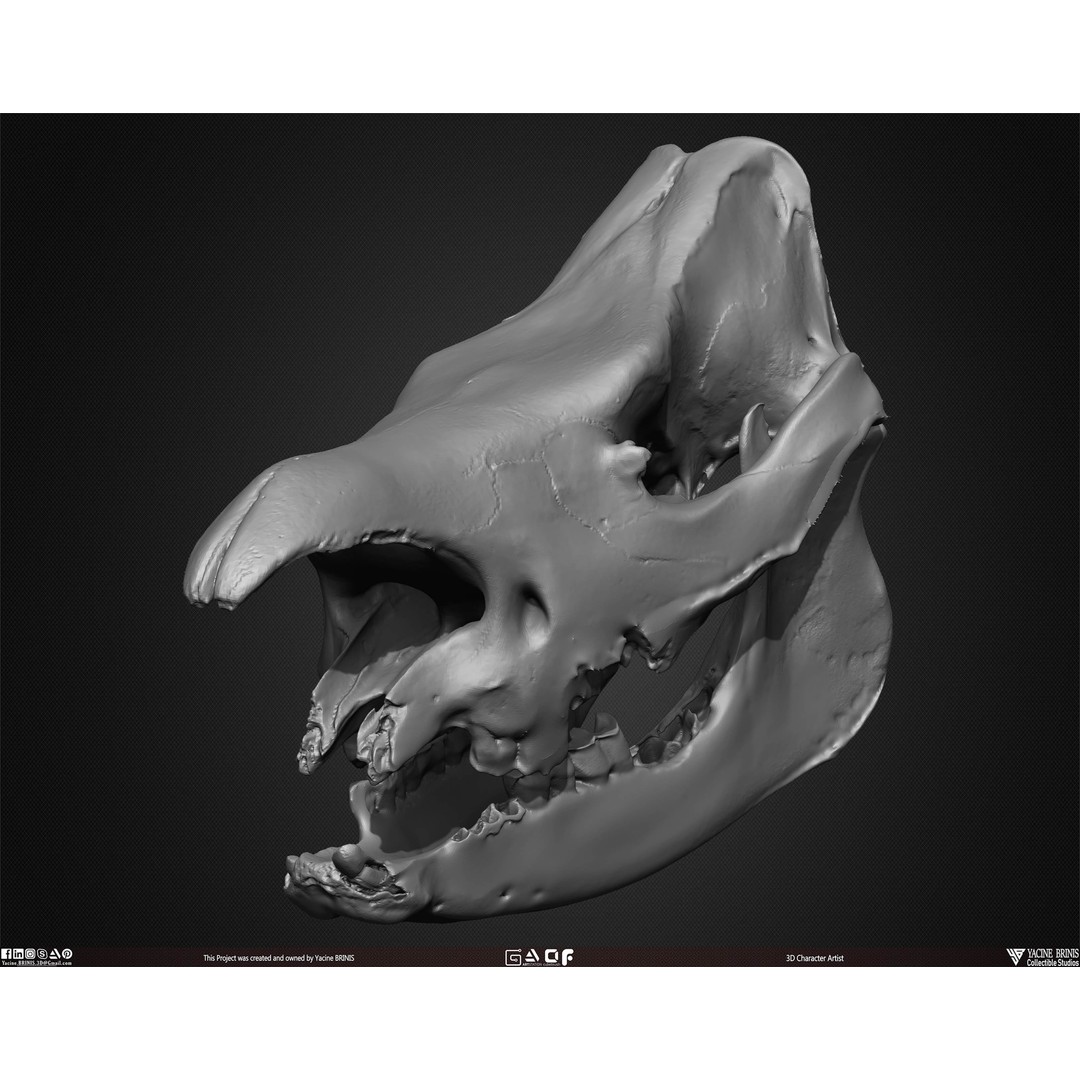 Animal Skulls 3D Model – Low-Poly Collection, FBX, OBJ, STL - View 35