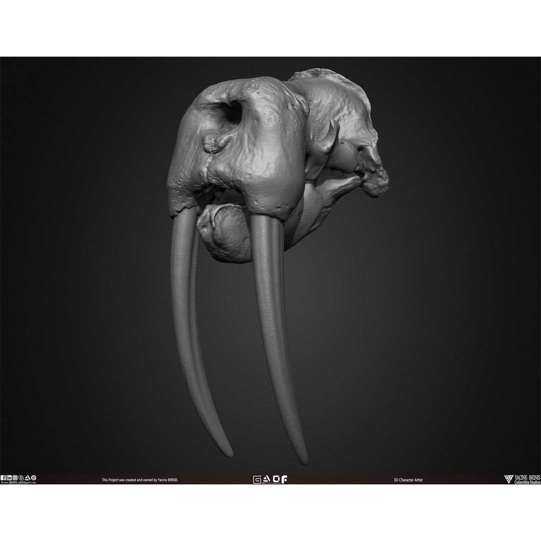 Animal Skulls 3D Model – Low-Poly Collection, FBX, OBJ, STL - View 39