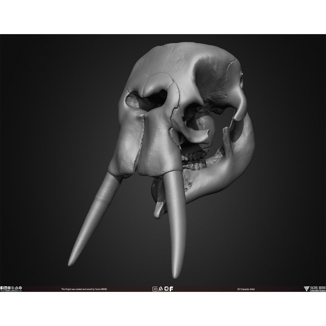 Animal Skulls 3D Model – Low-Poly Collection, FBX, OBJ, STL - View 41