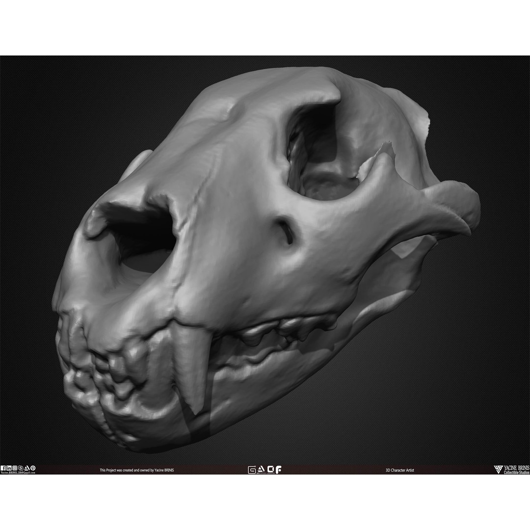 Animal Skulls 3D Model – Low-Poly Collection, FBX, OBJ, STL - View 45