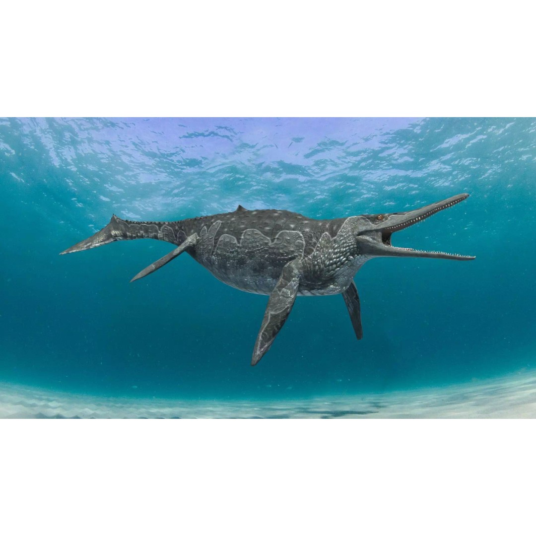 Ichthyotitan 3D Model – 8K Animated Aquatic Character, FBX & OBJ
