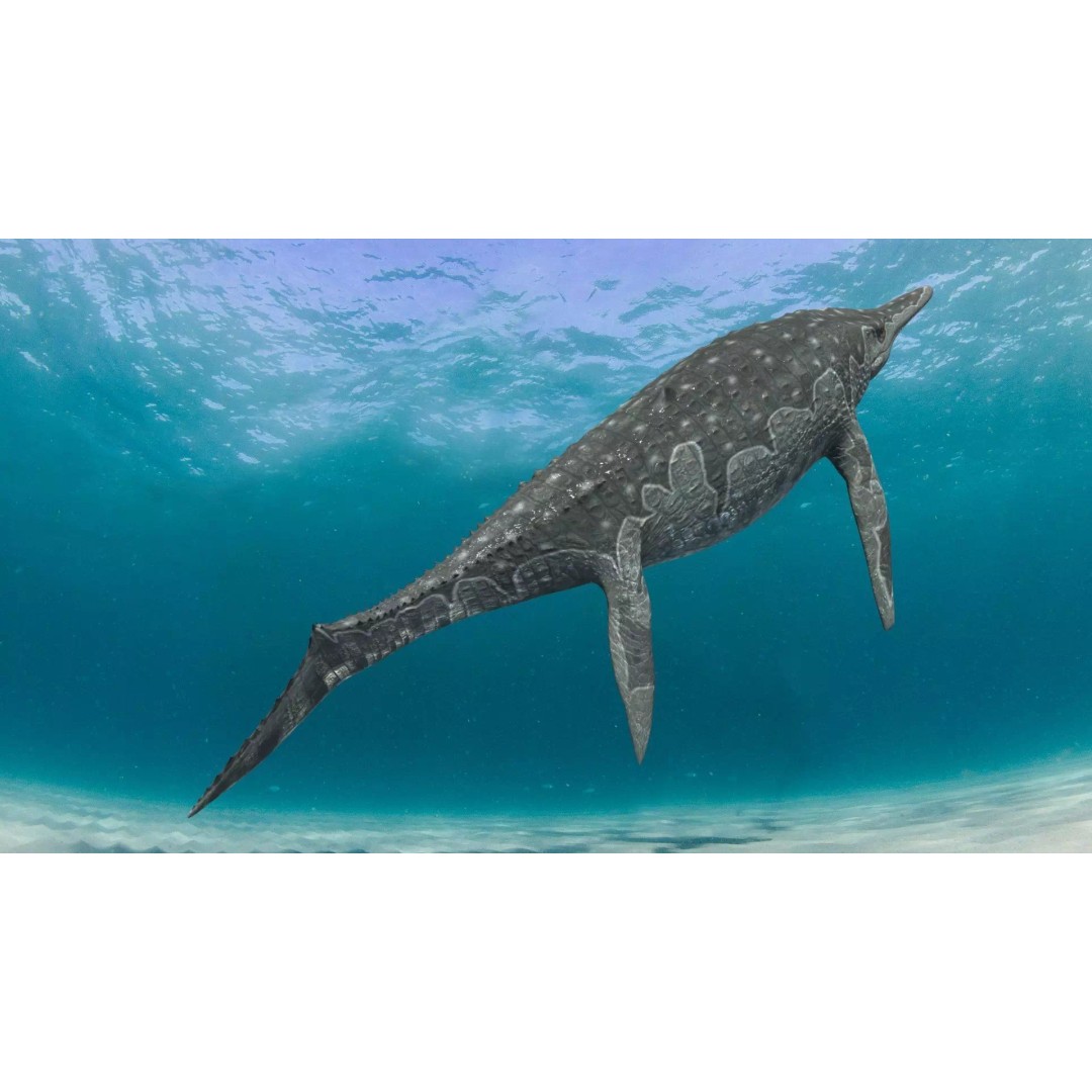 Ichthyotitan 3D Model – 8K Animated Aquatic Character, FBX & OBJ - View 11