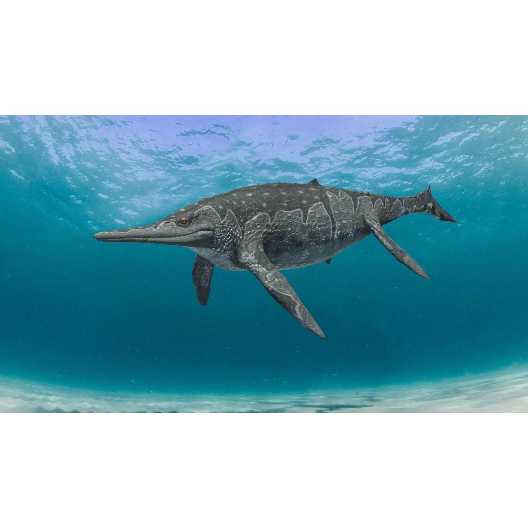 Ichthyotitan 3D Model – 8K Animated Aquatic Character, FBX & OBJ - View 14