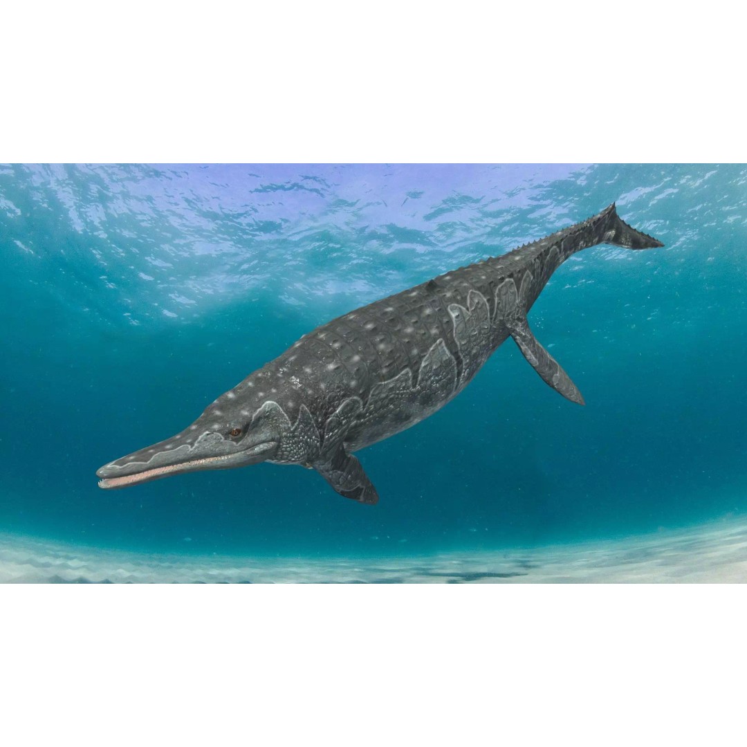 Ichthyotitan 3D Model – 8K Animated Aquatic Character, FBX & OBJ - View 16