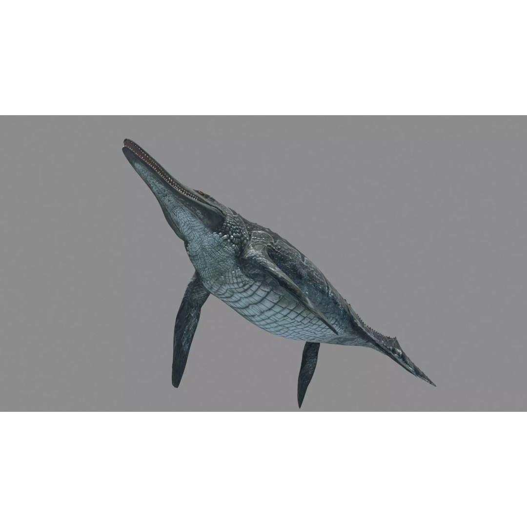 Ichthyotitan 3D Model – 8K Animated Aquatic Character, FBX & OBJ - View 18