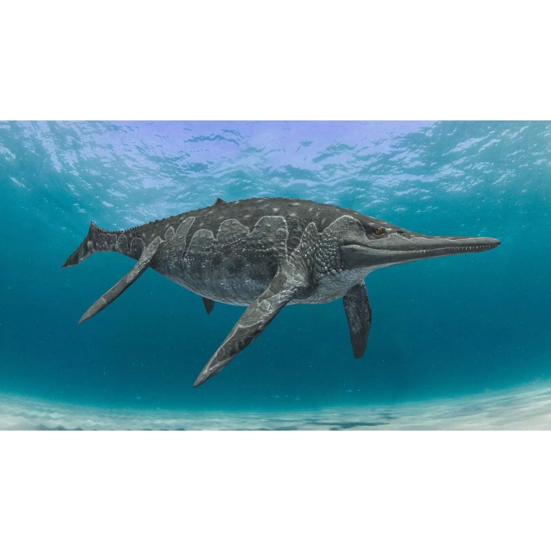 Ichthyotitan 3D Model – 8K Animated Aquatic Character, FBX & OBJ - View 4