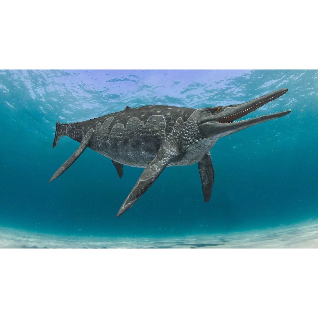 Ichthyotitan 3D Model – 8K Animated Aquatic Character, FBX & OBJ - View 5