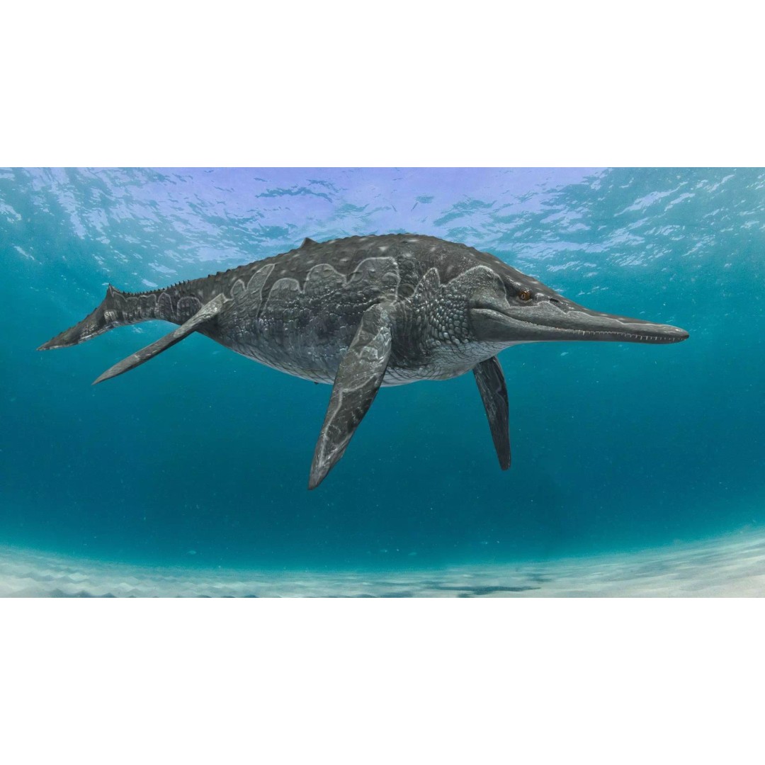 Ichthyotitan 3D Model – 8K Animated Aquatic Character, FBX & OBJ - View 6