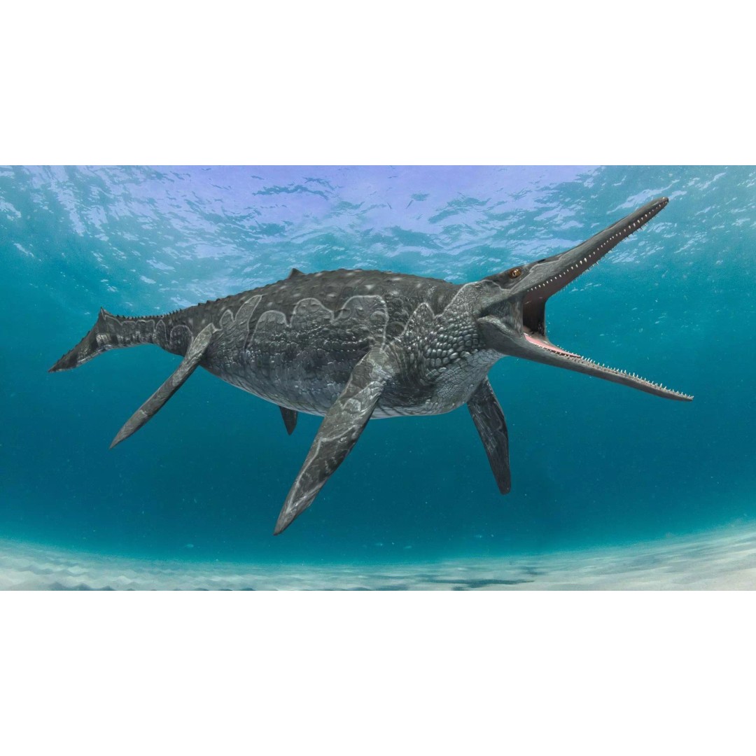 Ichthyotitan 3D Model – 8K Animated Aquatic Character, FBX & OBJ - View 7