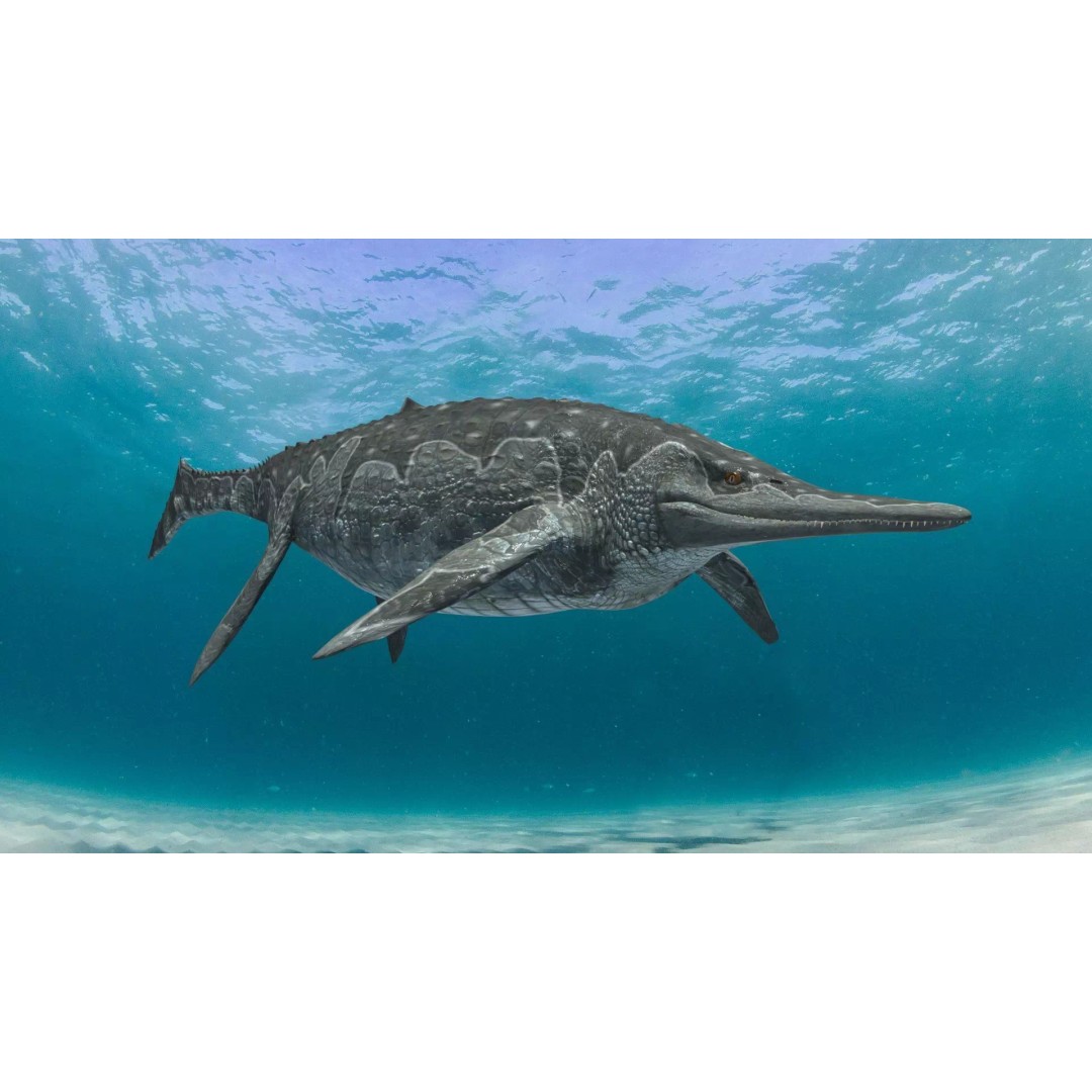 Ichthyotitan 3D Model – 8K Animated Aquatic Character, FBX & OBJ - View 8