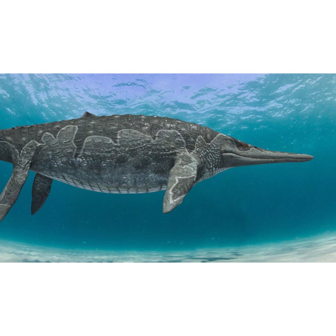 Ichthyotitan 3D Model – 8K Animated Aquatic Character, FBX & OBJ - View 9
