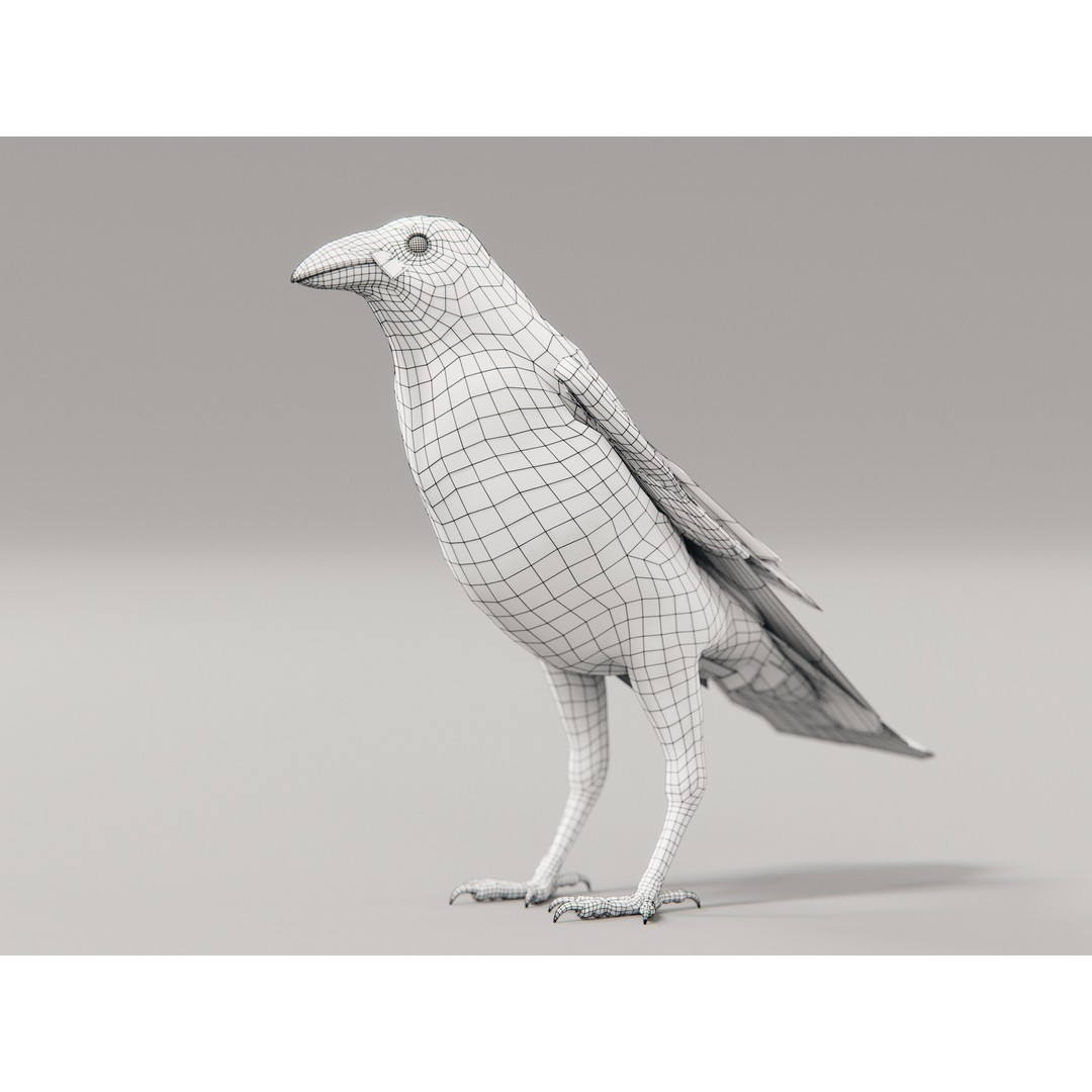 Crow 3D Model – Rigged Low-Poly Bird with PBR Textures - View 4