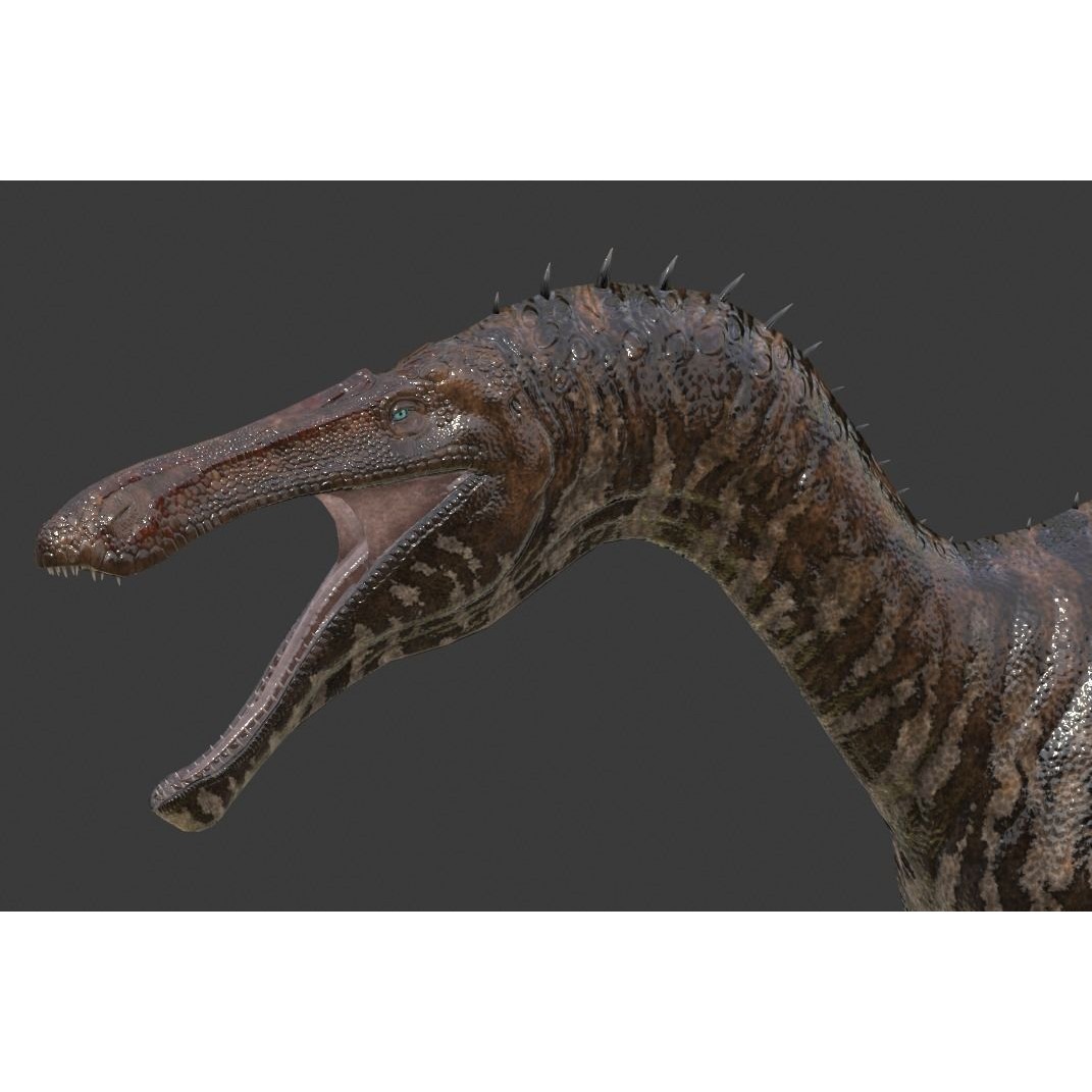Suchominus 3D Model – Low Poly Dinosaur Asset Pack, FBX, PBR - View 12