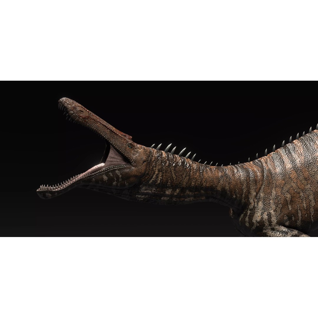 Suchominus 3D Model – Low Poly Dinosaur Asset Pack, FBX, PBR - View 2