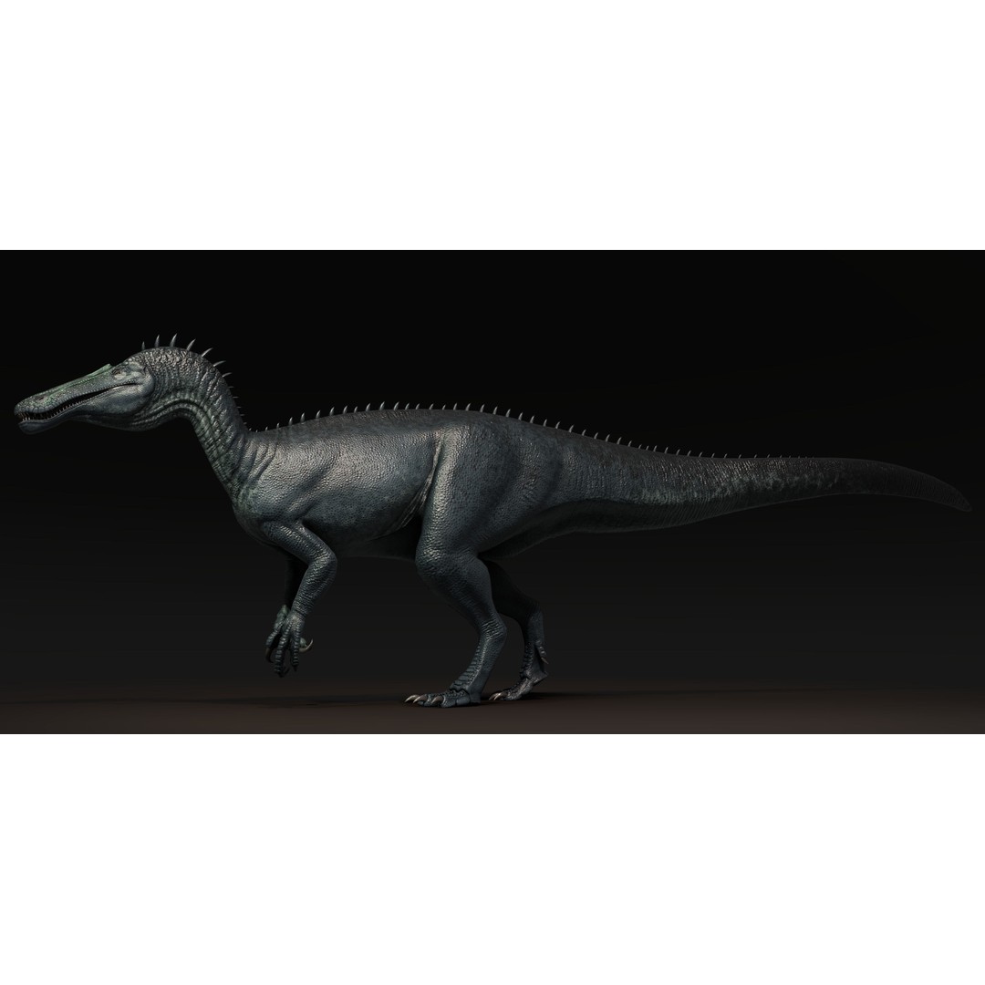 Suchominus 3D Model – Low Poly Dinosaur Asset Pack, FBX, PBR - View 3