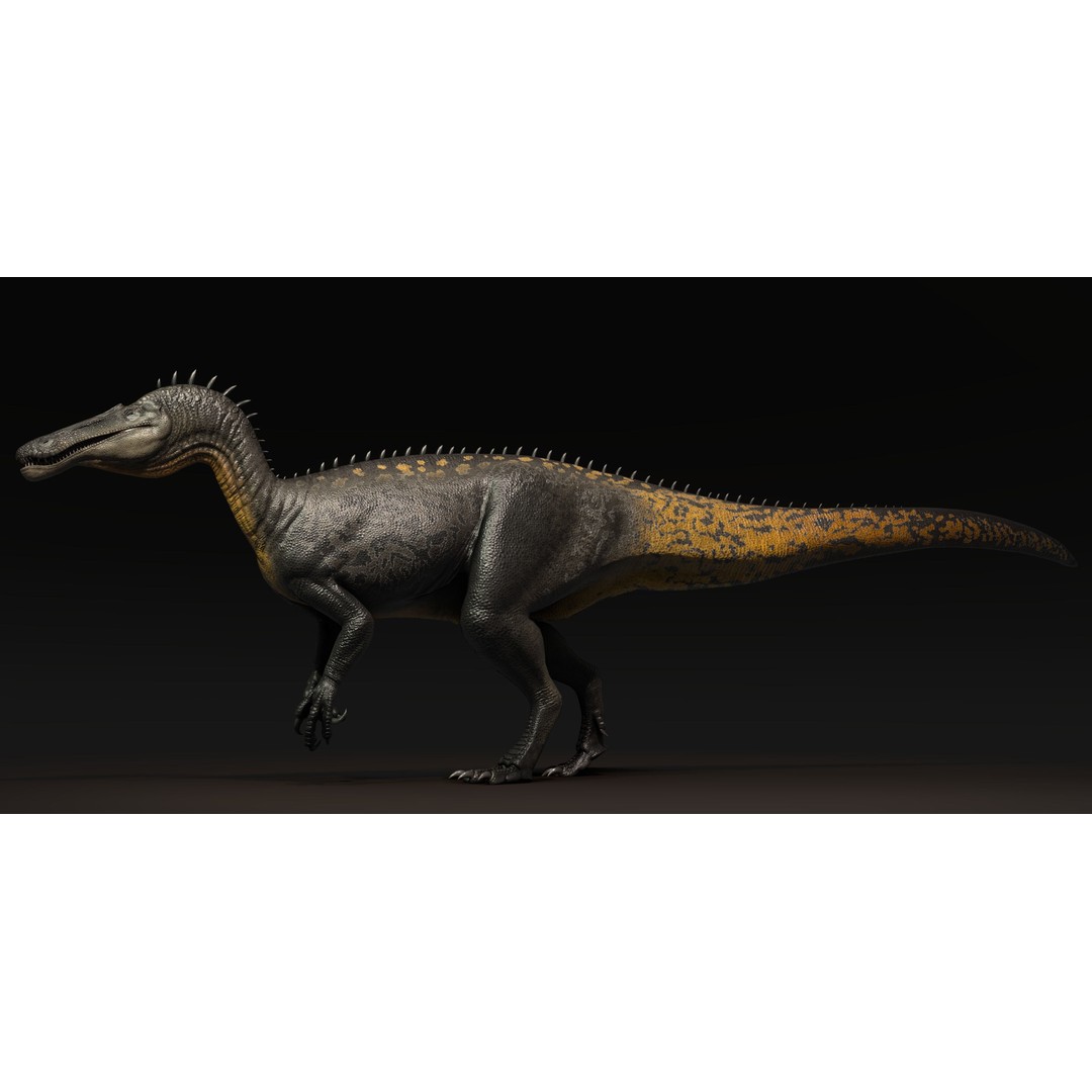 Suchominus 3D Model – Low Poly Dinosaur Asset Pack, FBX, PBR - View 4