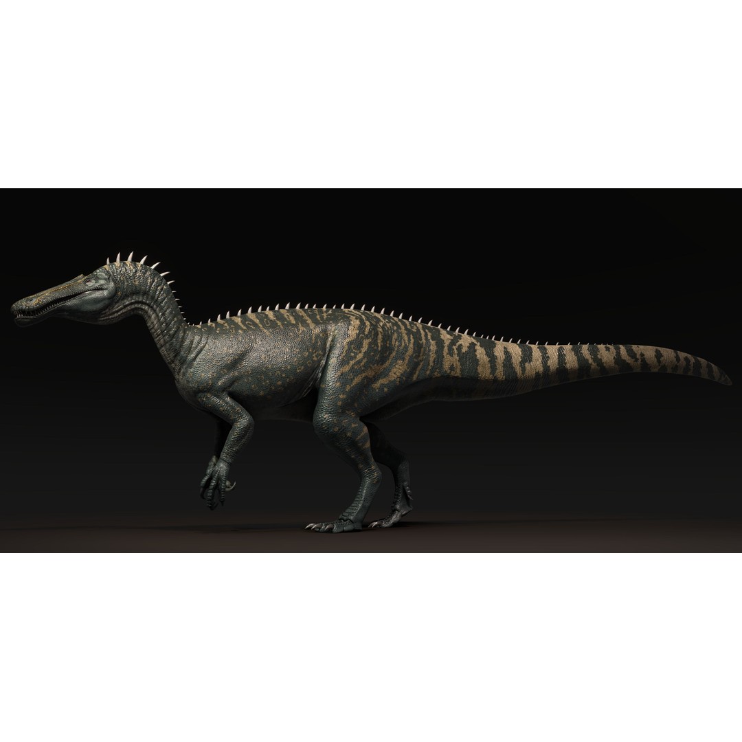 Suchominus 3D Model – Low Poly Dinosaur Asset Pack, FBX, PBR - View 6