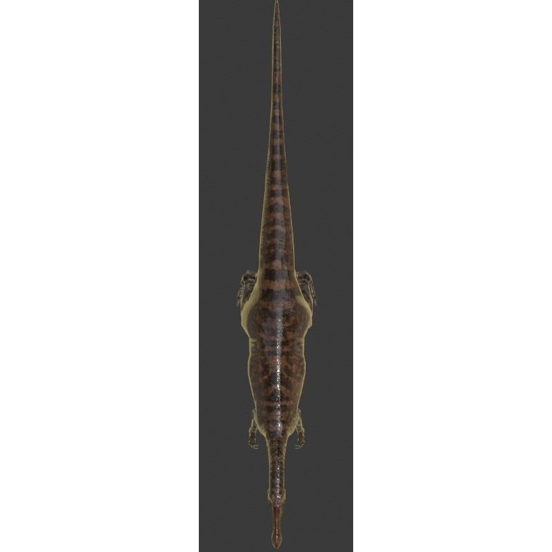 Suchominus 3D Model – Low Poly Dinosaur Asset Pack, FBX, PBR - View 9