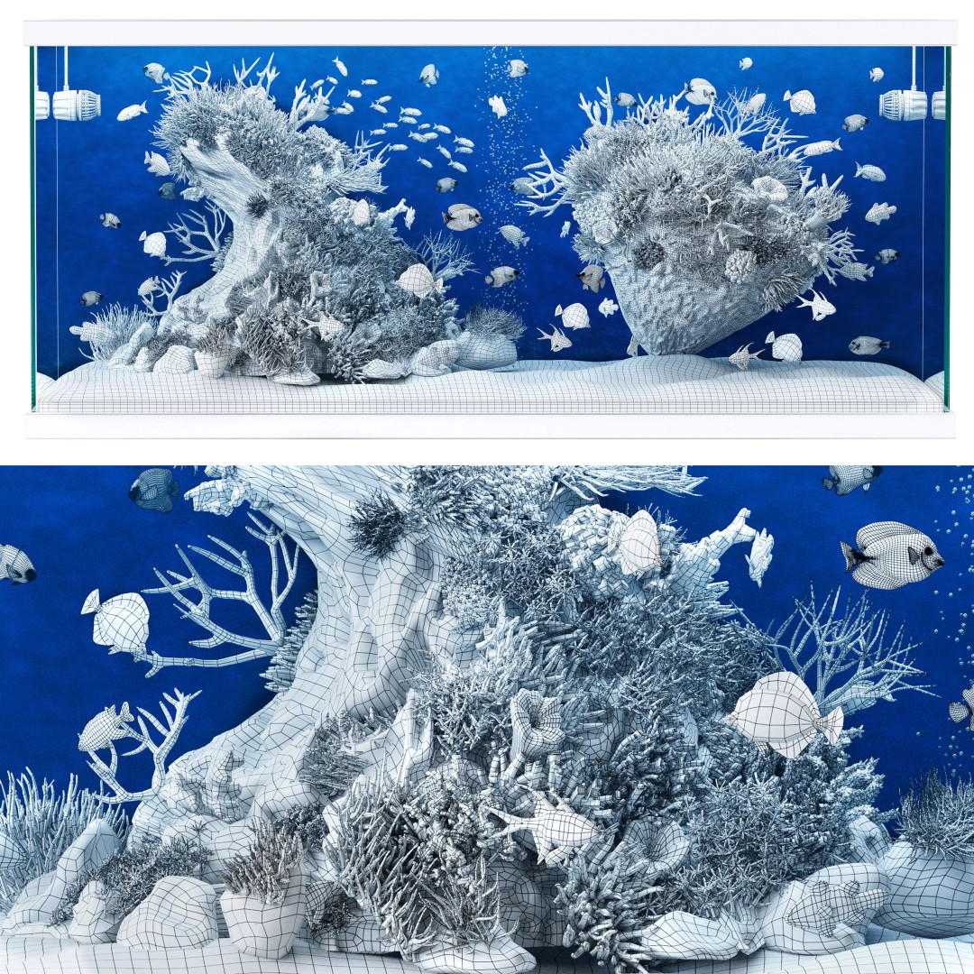 Marine Aquarium 3D Model – High Poly Asset with Diverse Fish, FBX/OBJ