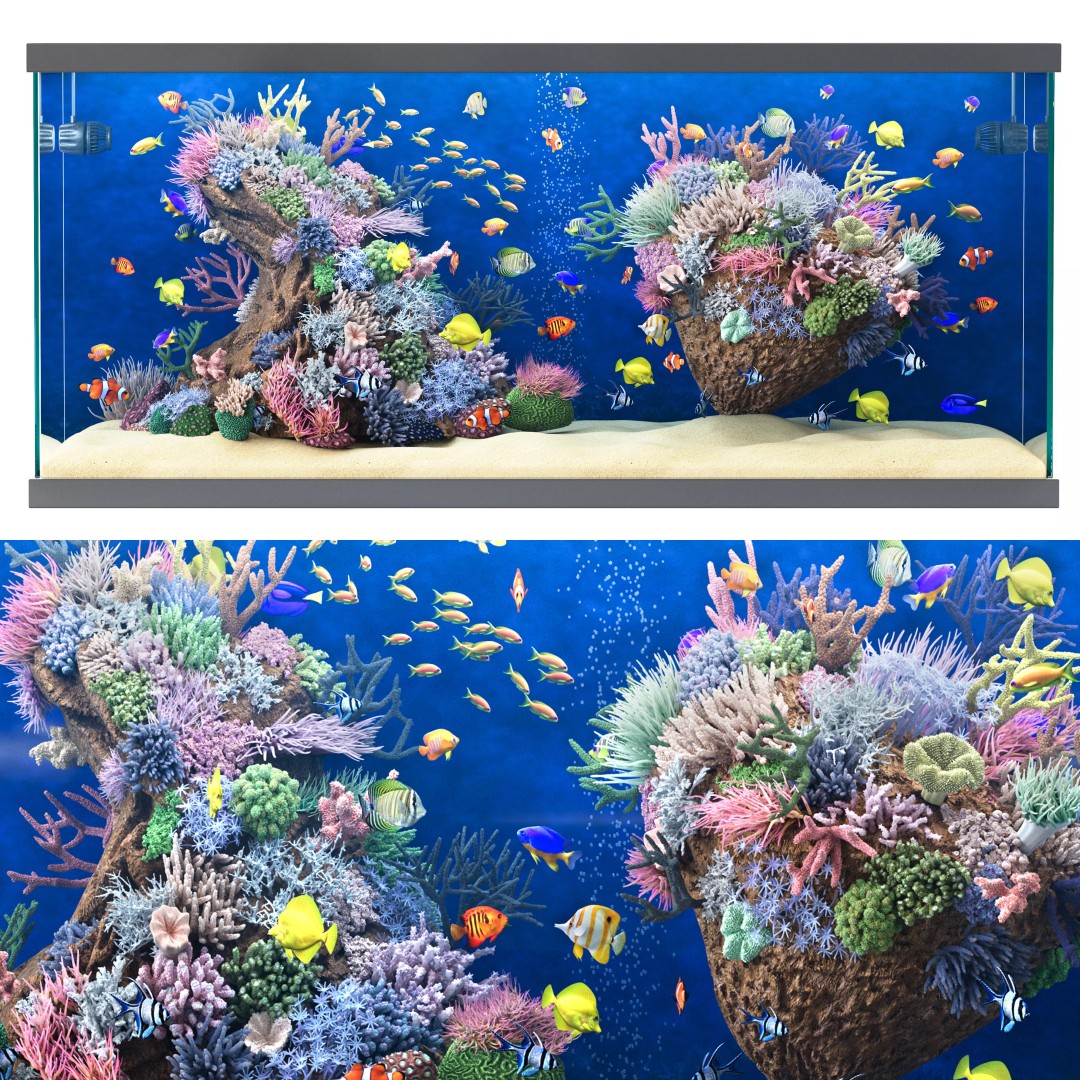 Marine Aquarium 3D Model – High Poly Asset with Diverse Fish, FBX/OBJ - View 2