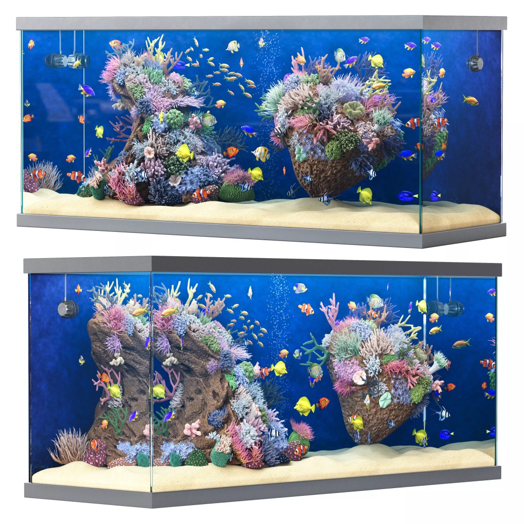 Marine Aquarium 3D Model – High Poly Asset with Diverse Fish, FBX/OBJ - View 3