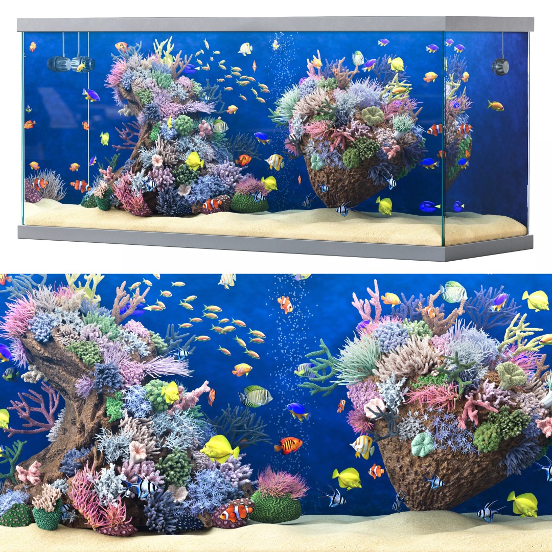 Marine Aquarium 3D Model – High Poly Asset with Diverse Fish, FBX/OBJ - View 4