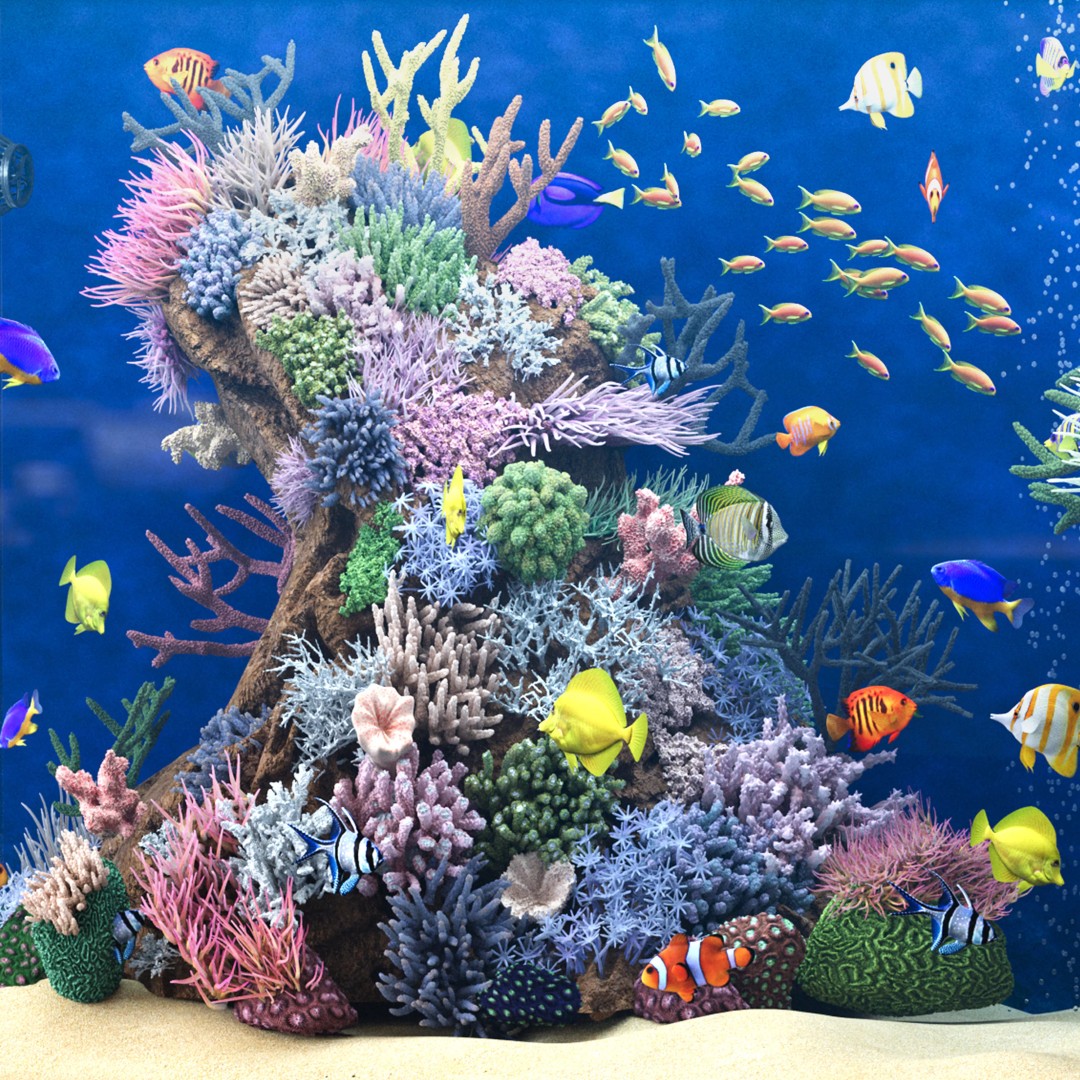 Marine Aquarium 3D Model – High Poly Asset with Diverse Fish, FBX/OBJ - View 5