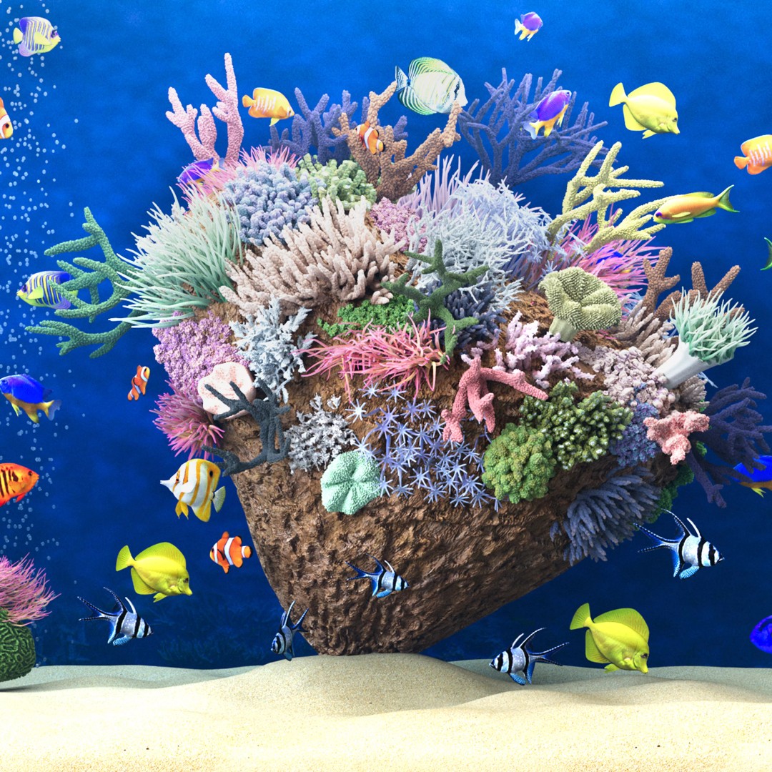 Marine Aquarium 3D Model – High Poly Asset with Diverse Fish, FBX/OBJ - View 6