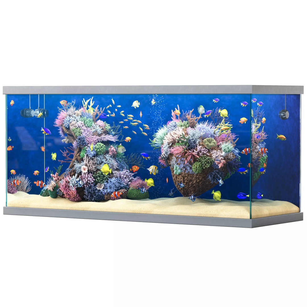 Marine Aquarium 3D Model – High Poly Asset with Diverse Fish, FBX/OBJ - View 7