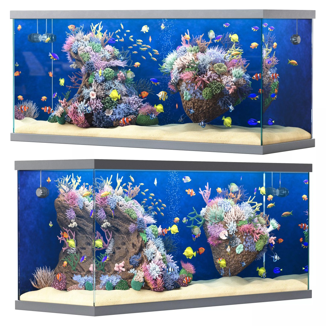 Marine Aquarium 3D Model – High Poly Asset with Diverse Fish, FBX/OBJ - View 8