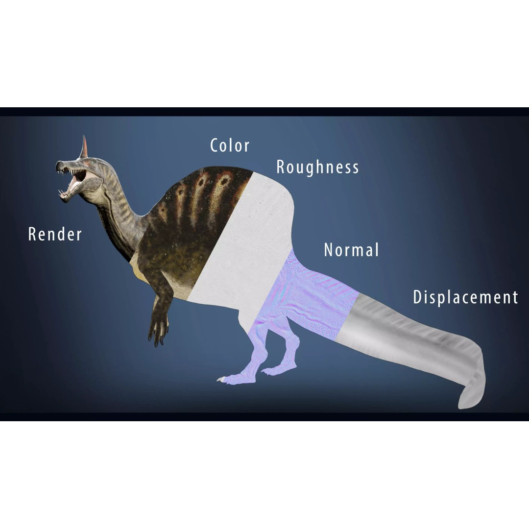Spinosaurus mirabilis 3D Model – Low Poly Rigged Dinosaur for Animation - View 11