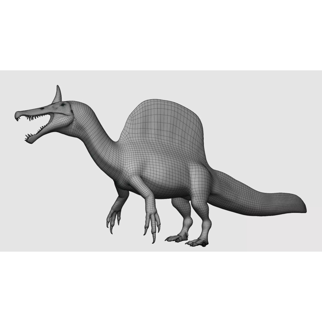 Spinosaurus mirabilis 3D Model – Low Poly Rigged Dinosaur for Animation - View 12