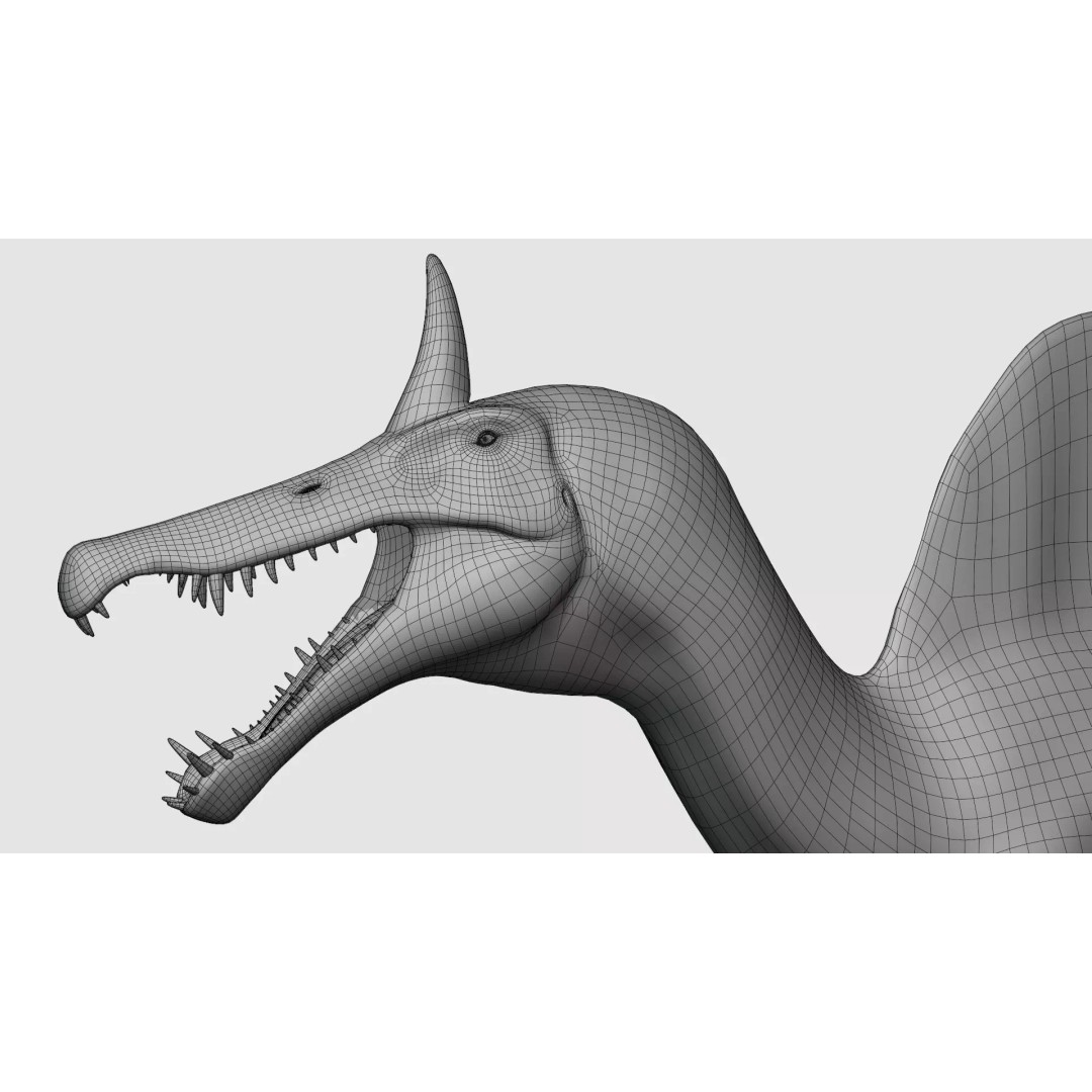Spinosaurus mirabilis 3D Model – Low Poly Rigged Dinosaur for Animation - View 13