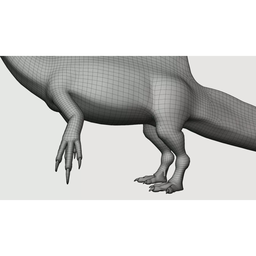 Spinosaurus mirabilis 3D Model – Low Poly Rigged Dinosaur for Animation - View 14
