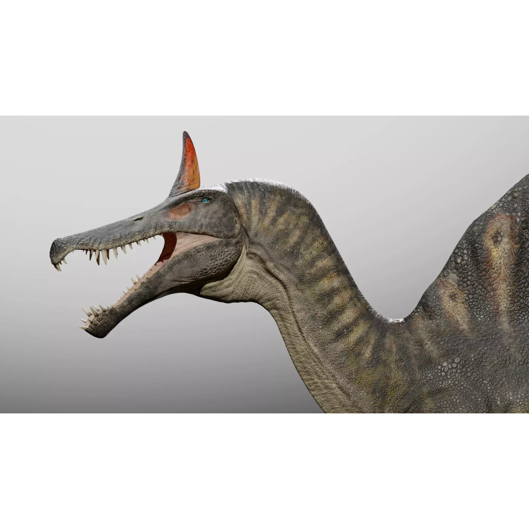 Spinosaurus mirabilis 3D Model – Low Poly Rigged Dinosaur for Animation - View 4