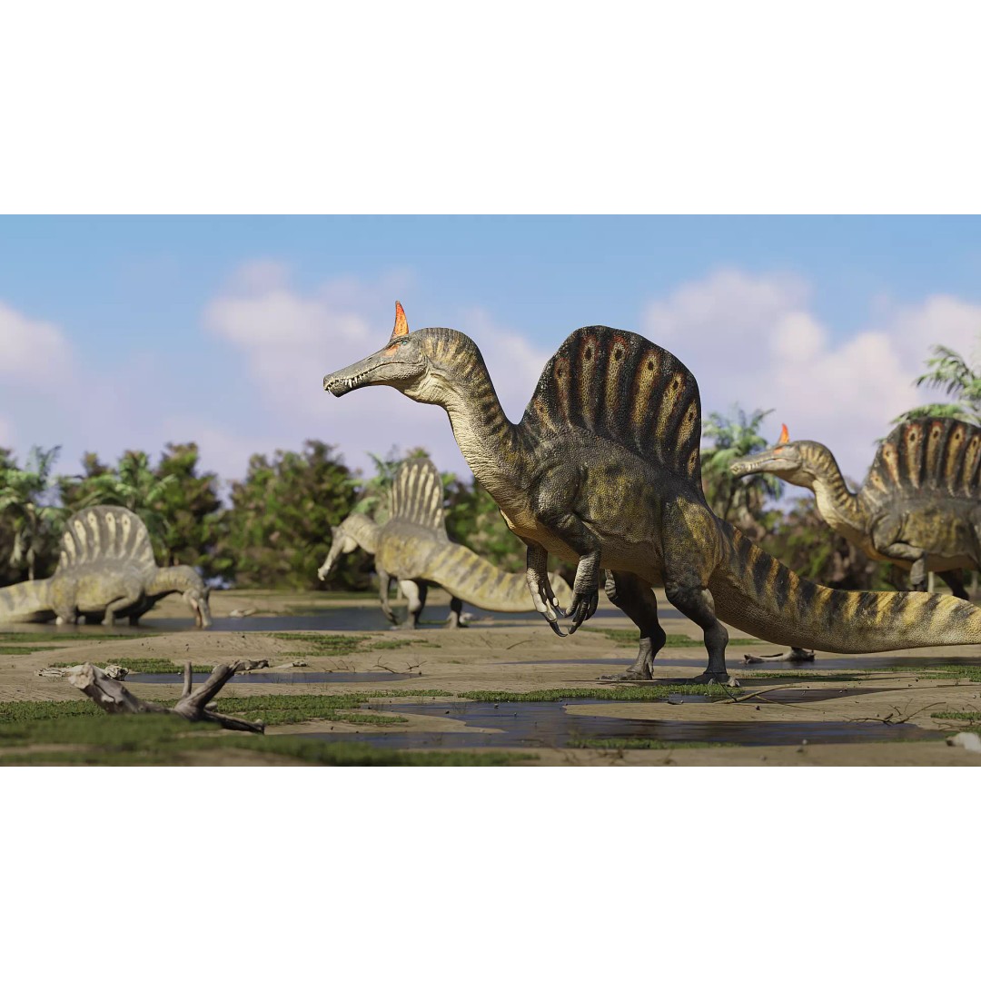 Spinosaurus mirabilis 3D Model – Low Poly Rigged Dinosaur for Animation - View 8