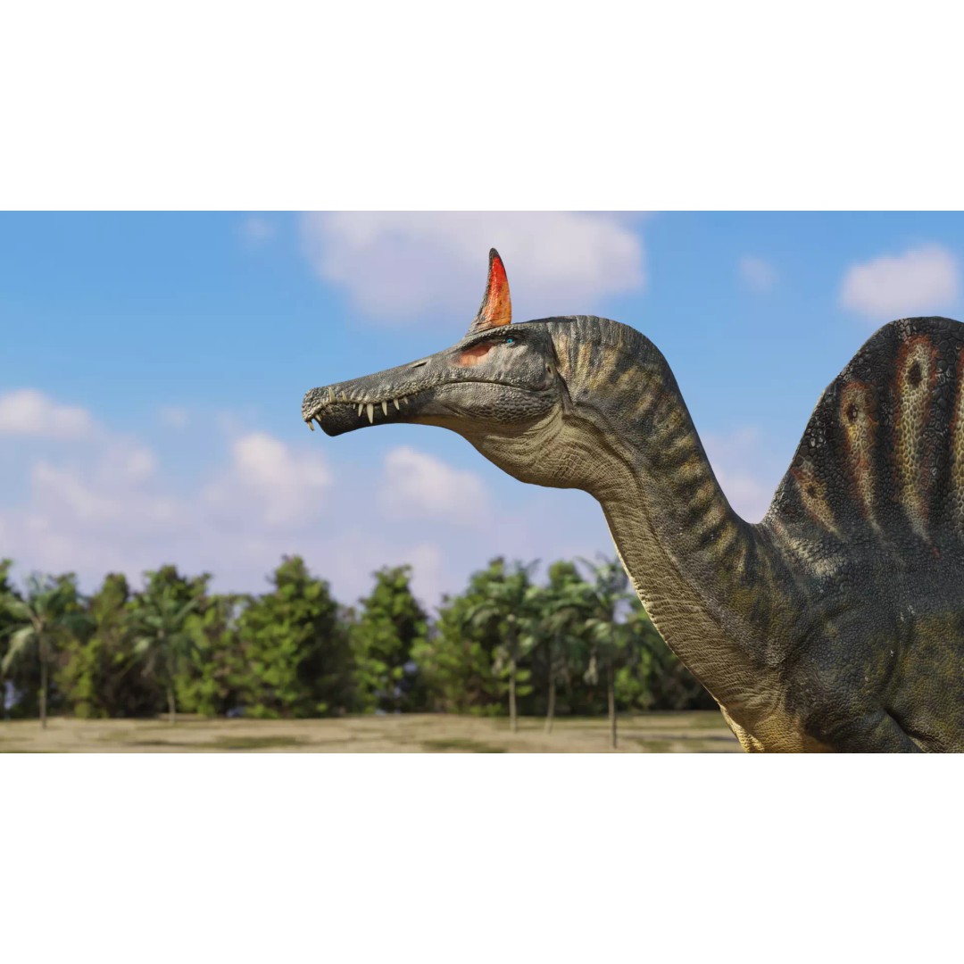Spinosaurus mirabilis 3D Model – Low Poly Rigged Dinosaur for Animation - View 9